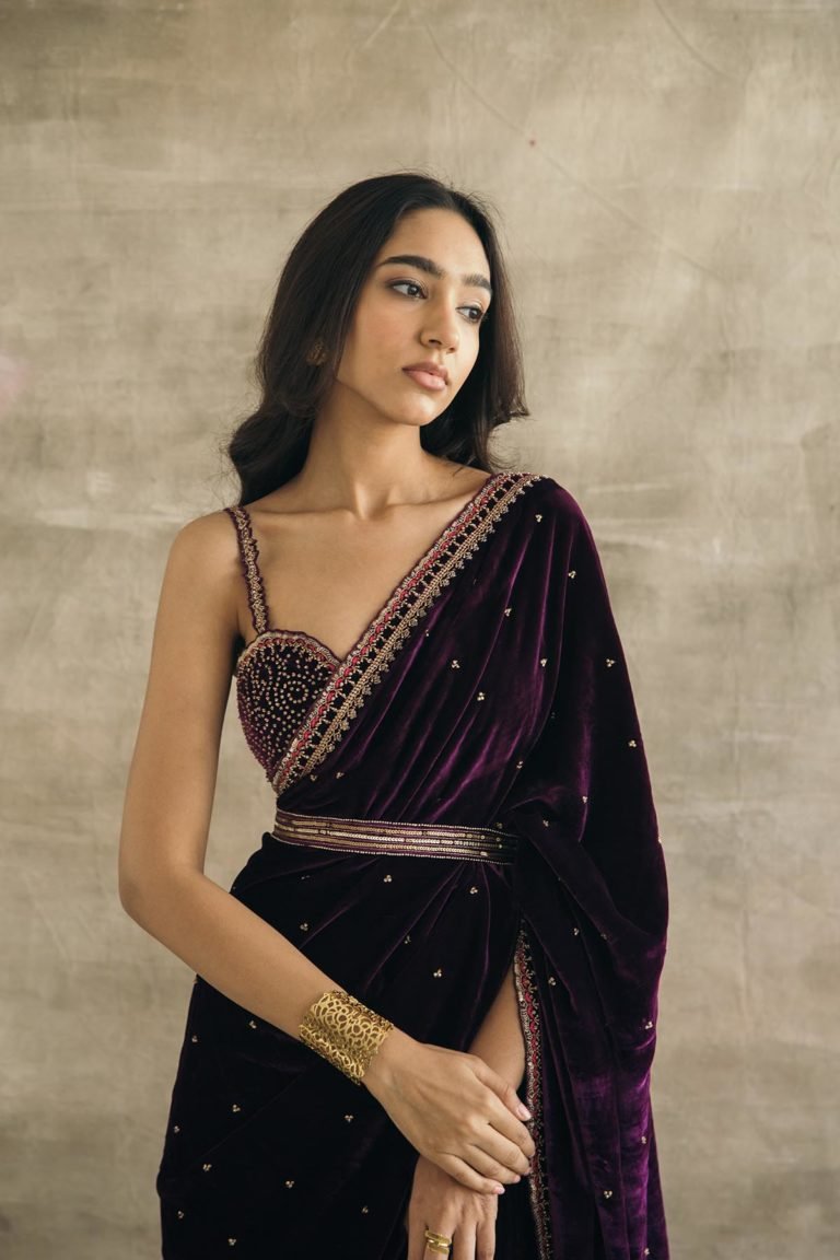 Plum Embroidered Silk Velvet Retro Sari